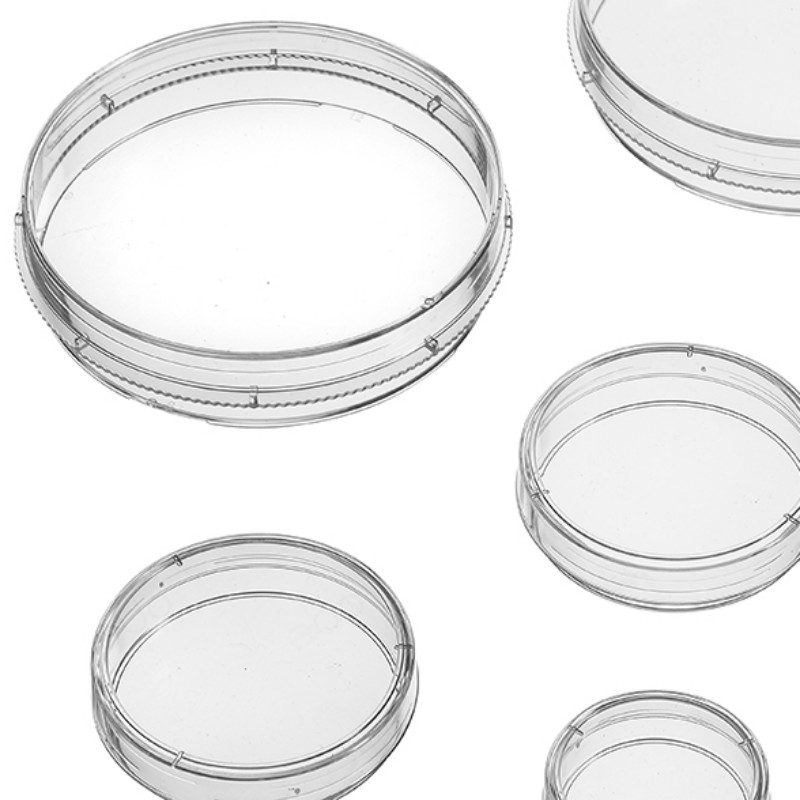 Cell Culture Dishes